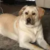 Joe Rupinski - @joerupinski - TikTok