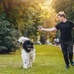 Joe MacLeod - @joemacleodc - Instagram