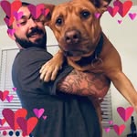 Joe Manglaviti - @joe__mango - Instagram