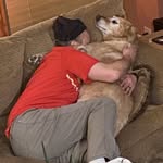 Joe Mansfield - @joemansfield2345 - Instagram