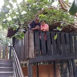 Joe Manuel - @frankly_jo - Instagram