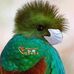 Joe Manuel - Facebook
