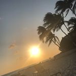 マンジ - @joemanzi - Instagram