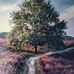 Joe Maple - Facebook