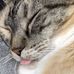 Joseph Marty - Facebook