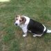 Joe Masters - Facebook
