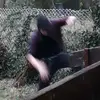 joe mathias - @mathias.joe - TikTok