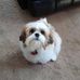 Joe Mattison - Facebook