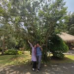 @joemaya___ - Instagram