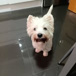 Joe Mayorga - @pepejoe1958 - Instagram