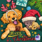 Joe Mccain - Facebook