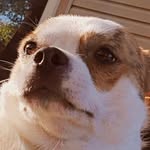 Joey - @joey.mccombs - Instagram