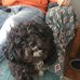 Joe McConkey - Facebook