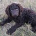 Joe McConkey - Facebook