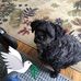 Joe McConkey - Facebook