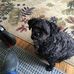 Joe McConkey - Facebook