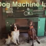 Joe McCool - Facebook