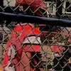 JoeyMcCourt - @joey.mccourt - TikTok