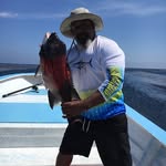 Joe Mccree - @coachmccree - Instagram