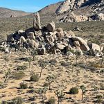 Joe McLeod - @jmcleod9 - Instagram