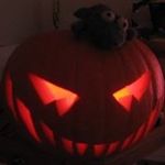 Joe Mcleod - @mcleod_joe - Instagram