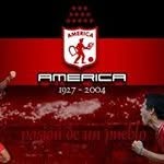 Joe Mera - @joe.mera - Instagram