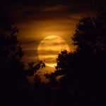 Joe Messer - @joe_messertfl - Instagram