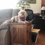 Joe Mintz - @mintz.joe - Instagram