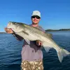 Joe Mitchell - @joe.mitchell31 - TikTok