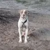 Joe Mitchell - @joe.mitchell644 - TikTok