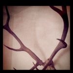 Joe Monks - @joesjobbies - Instagram