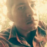 joe monroy - @alfilqwark - Instagram