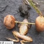 Joe Morel - @joe_morel - Instagram