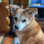 Joe Morelli - @joemorelli454 - Instagram