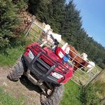 joemullarkey12 - @joemullarkey12 - Instagram