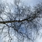 @joe_mumma67 - Instagram