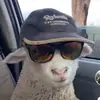 Joe Mumma - @ivn.ww - TikTok