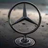 joe_mummaa - @joe_mummaa - TikTok