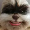 Joe                          ༽ - @joe_munch - TikTok
