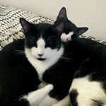 Munch & Joe - @munchandjoe - Instagram