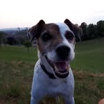 Joe Munford - @joeymunf - Instagram