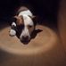 Joe Munn - Facebook