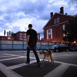 Joe Muto - @joe_muto - Instagram