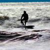 Joe Negron - @surferlivin - TikTok