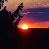 Joe_Ness - @joe_ness - TikTok