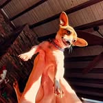 Joe-Nicholas Atkins - @joesillygoose - Instagram