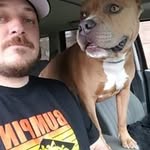Joe Noel - @joe.noel.14 - Instagram
