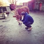 Joe Nutter - @joe.nutter - Instagram