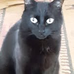 Joene Oldfield - @joeneoldfield - Instagram