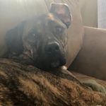 Joe O’Neal - @joes_other_account1113 - Instagram